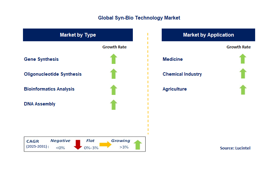 Syn-Bio Technology Market by Segment