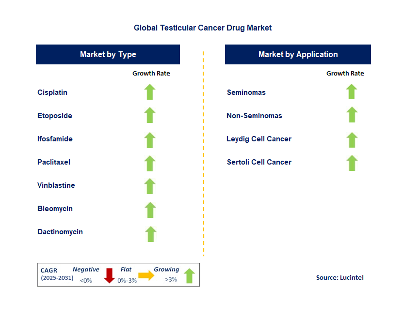 Testicular Cancer Drug Market by Segment