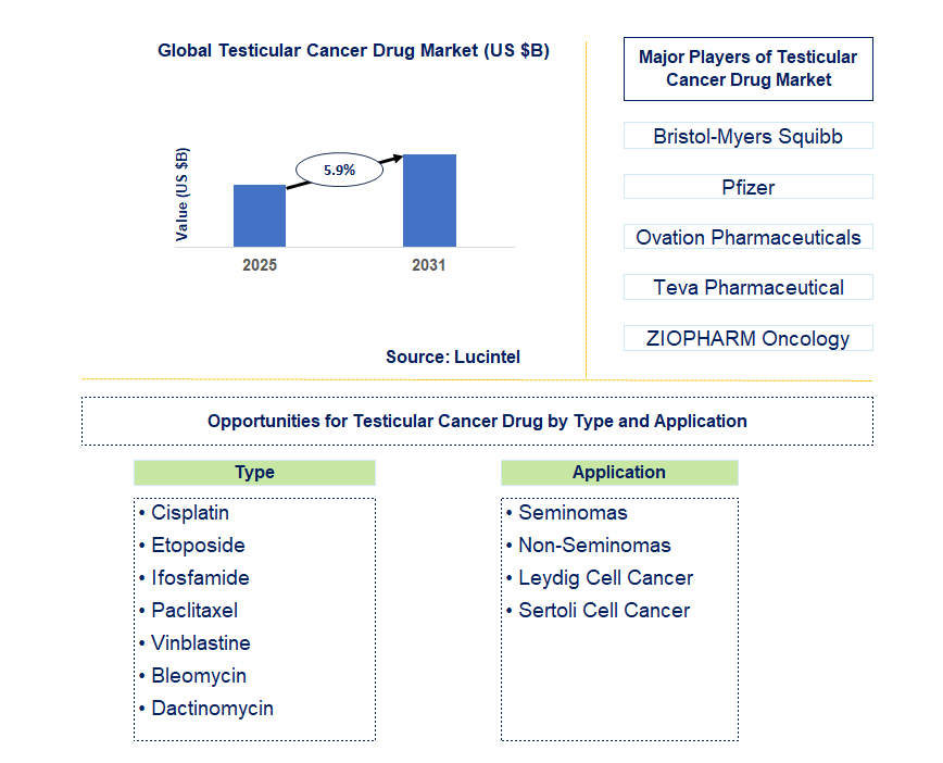 Testicular Cancer Drug Market Trends and Forecast