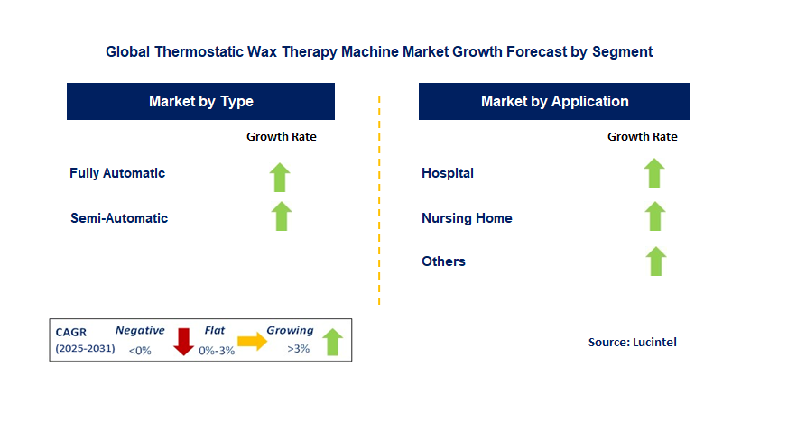 Thermostatic Wax Therapy Machine Market by Segment