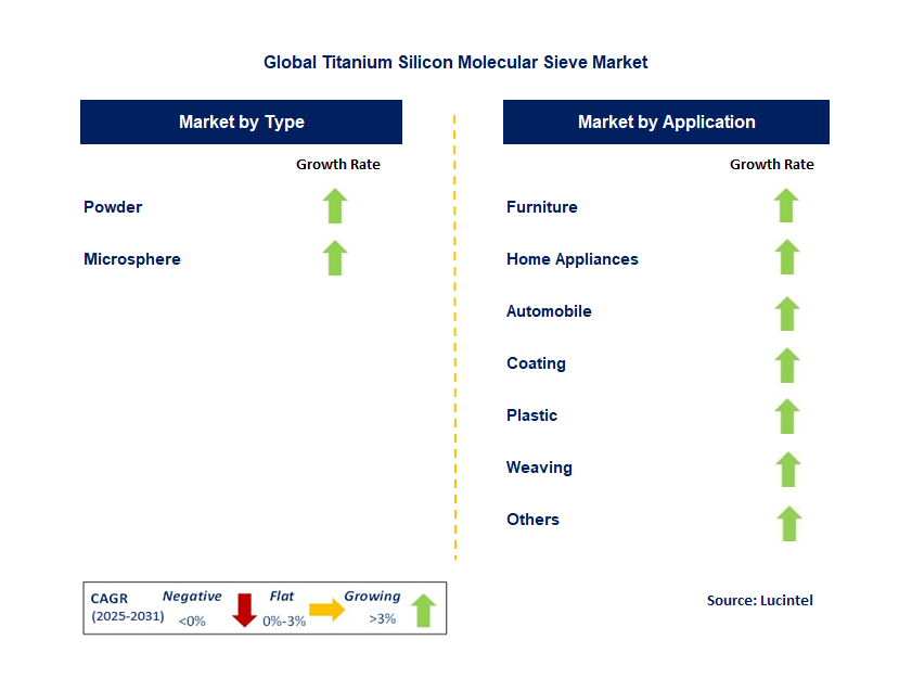 Titanium Silicon Molecular Sieve Market by Segment