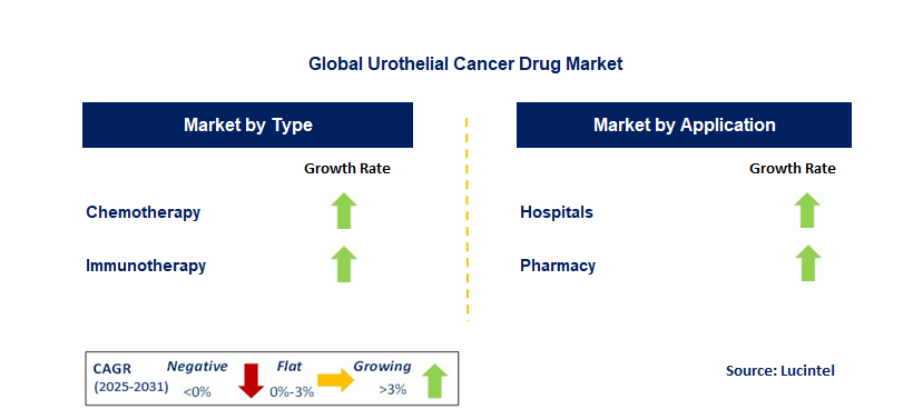 Urothelial Cancer Drug Market by Segment