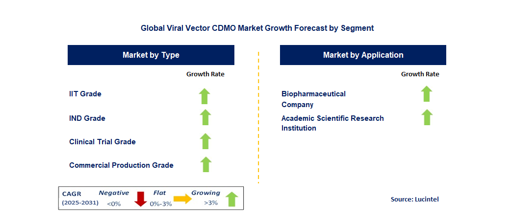 Viral Vector CDMO Market by Segment