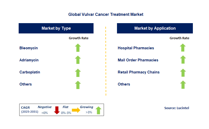 Vulvar Cancer Treatment Market by Segment