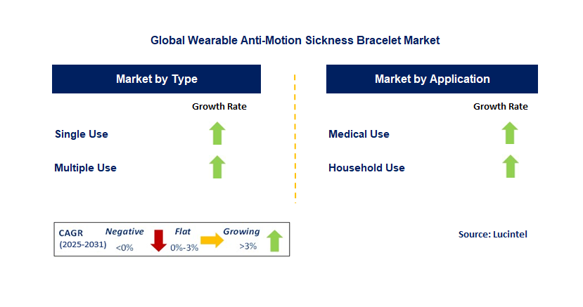 Wearable Anti-Motion Sickness Bracelet Market by Segment