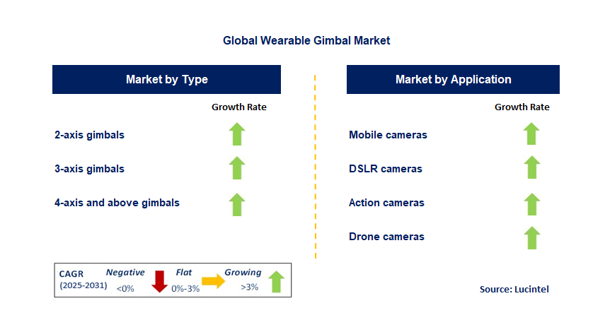 Wearable Gimbal Market by Segment