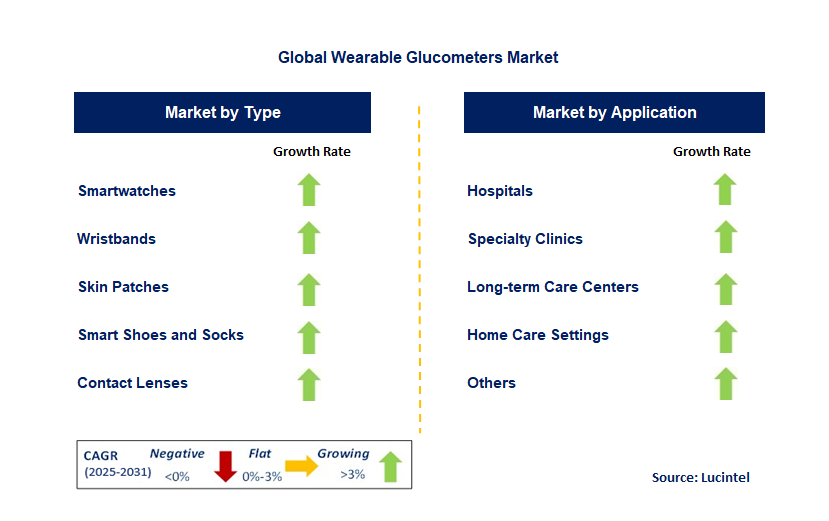 Wearable Glucometers Market by Segment