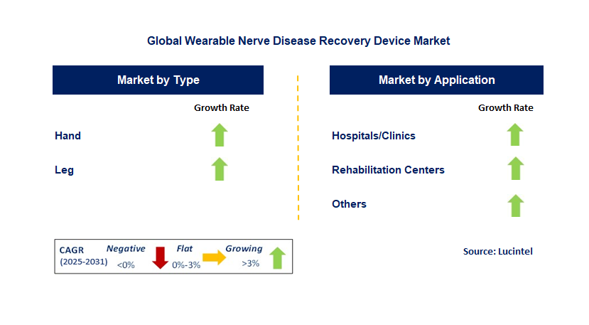 Wearable Nerve Disease Recovery Device Market by Segment