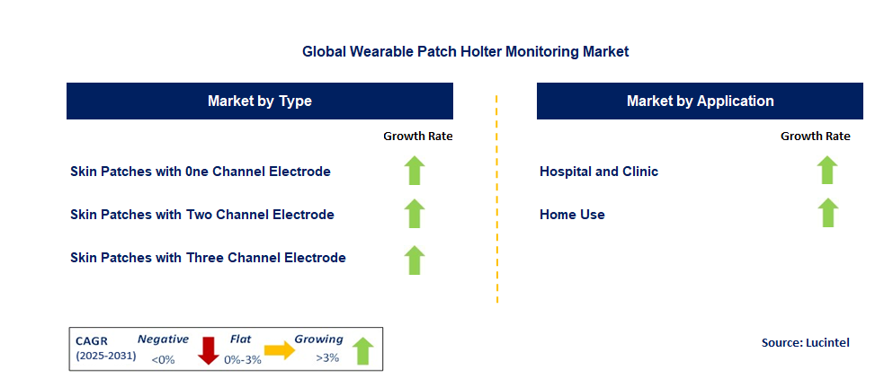 Wearable Patch Holter Monitoring Market by Segment