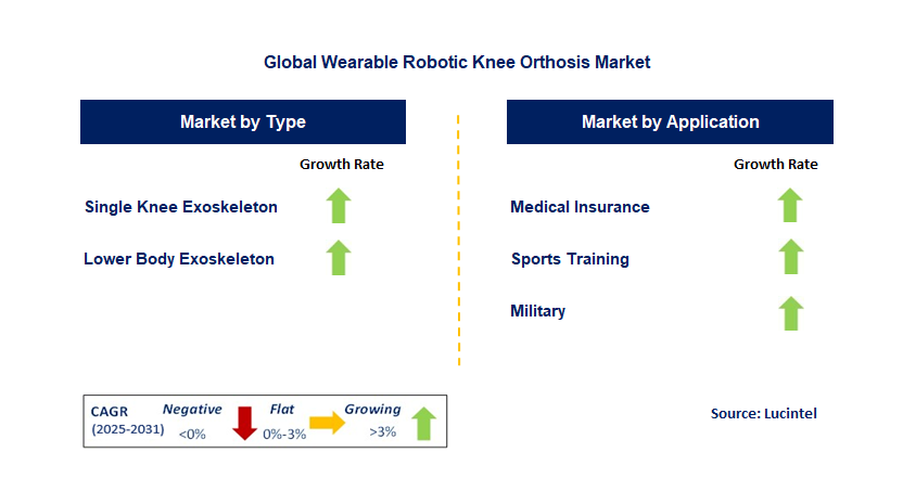 Wearable Robotic Knee Orthosis Market by Segment