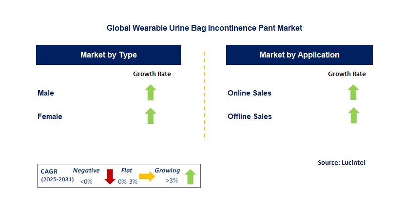 Wearable Urine Bag Incontinence Pant Market by Segment