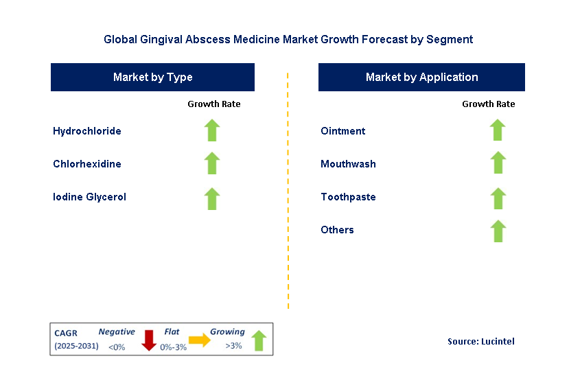 Gingival Abscess Medicine Market by Segment