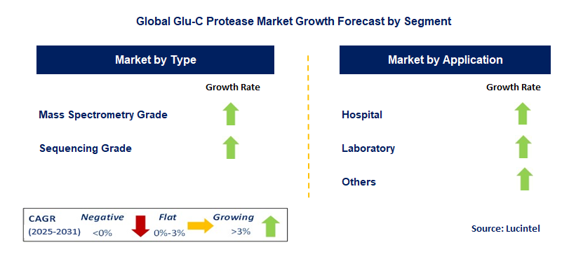 Glu-C Protease Market by Segment