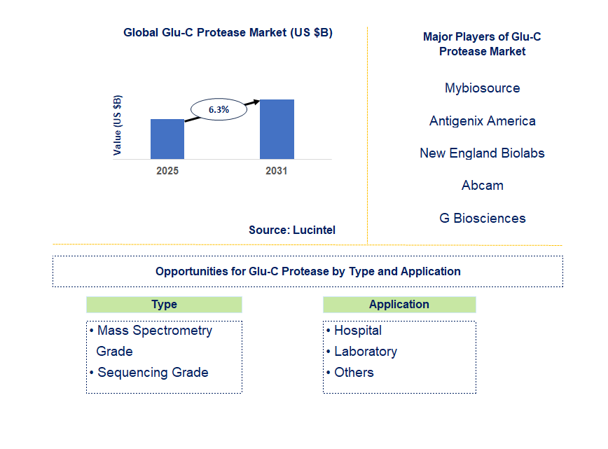 Glu-C Protease Market Trends and Forecast