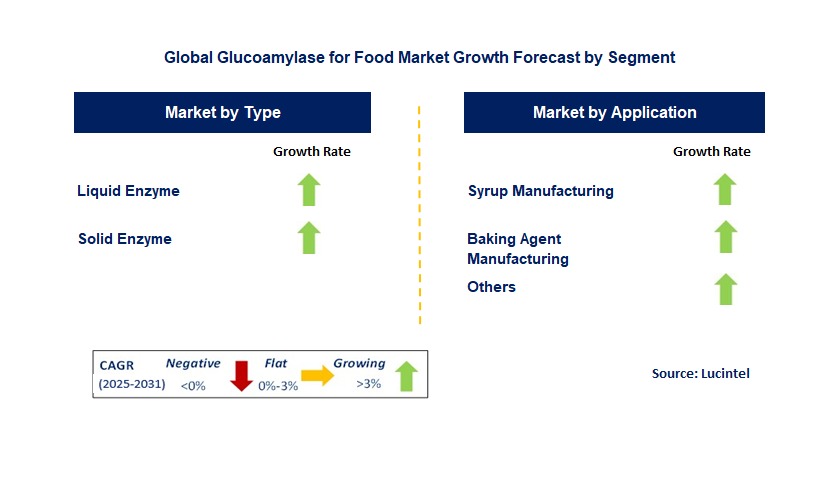 Glucoamylase for Food Market by Segment