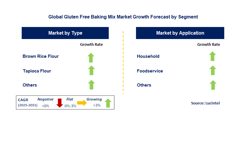 Gluten Free Baking Mix Market by Segment