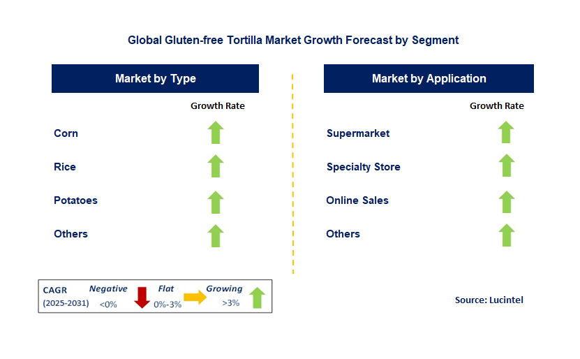 Gluten-Free Tortilla Market by Segment