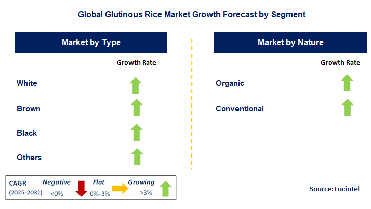 Glutinous Rice Market by Segment