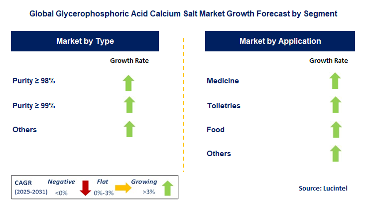 Glycerophosphoric Acid Calcium Salt Market by Segment