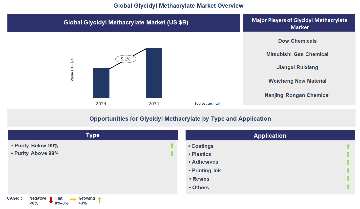 Glycidyl Methacrylate Market Trends and Forecast