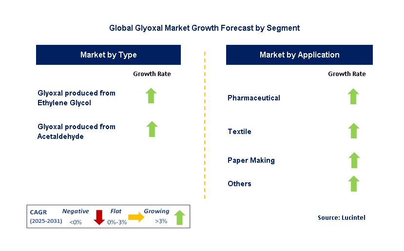 Glyoxal Market by Segment