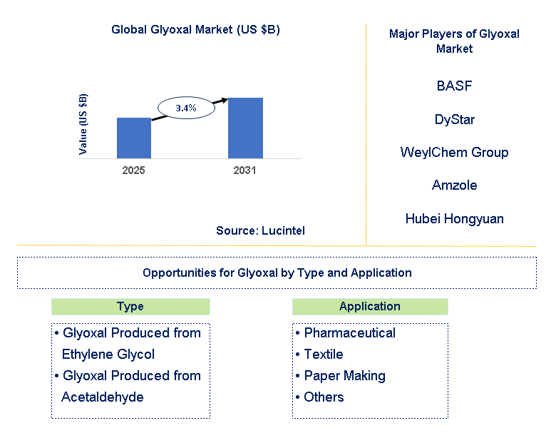 Glyoxal Market Trends and Forecast