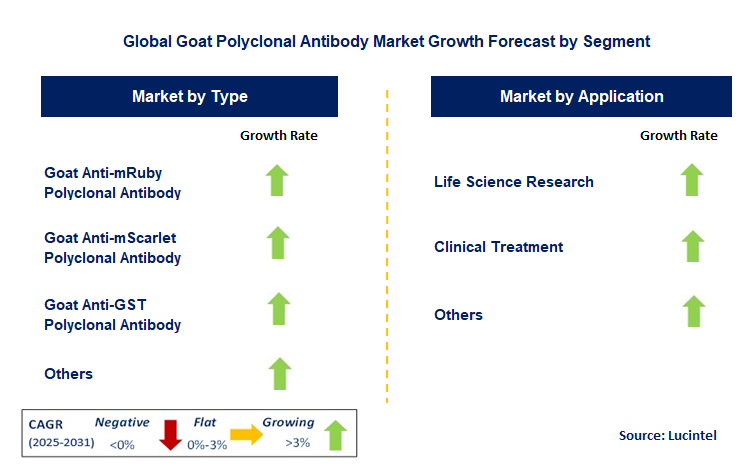 Goat Polyclonal Antibody Market by Segment