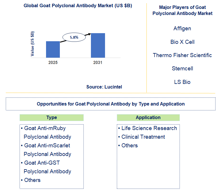 Goat Polyclonal Antibody Market Trends and Forecast