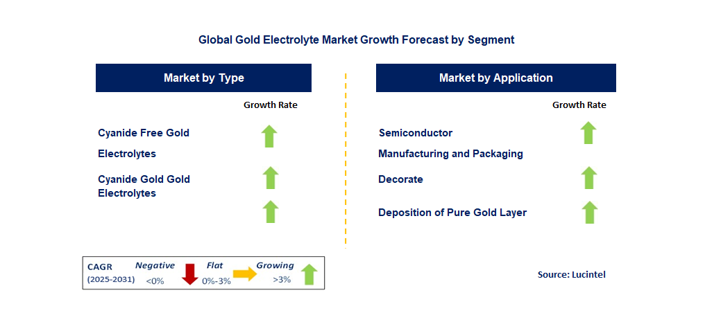 Gold Electrolyte Market by Segment