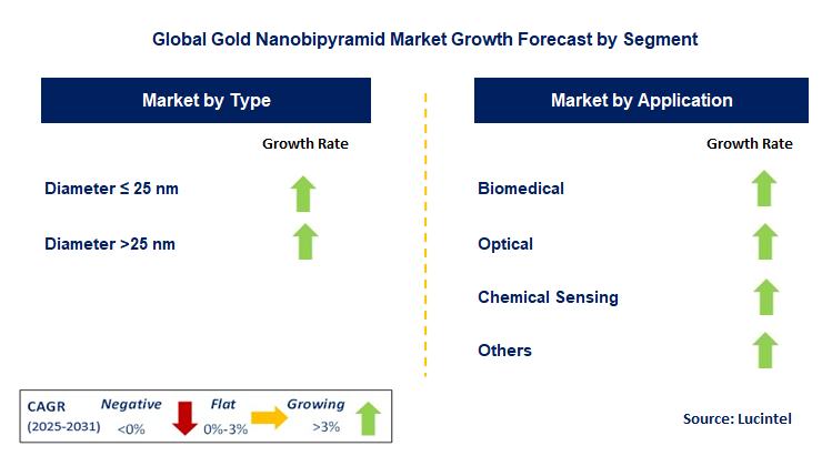 Gold Nanobipyramid Market by Segment