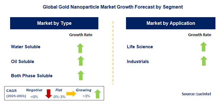 Gold Nanoparticle Market by Segment