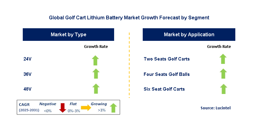 Golf Cart Lithium Battery Market by Segment