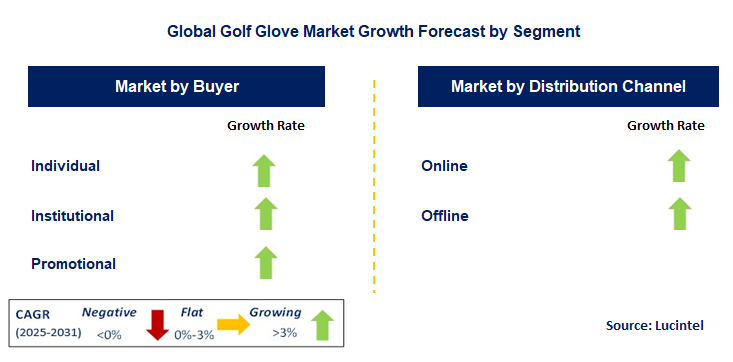 Golf Glove Market by Segment