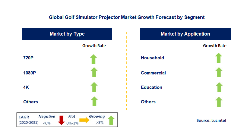 Golf Simulator Projector Market by Segment