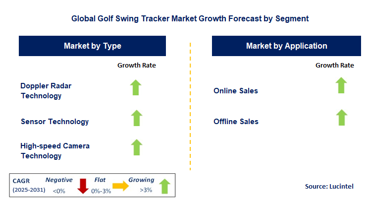Golf Swing Tracker Market by Segment