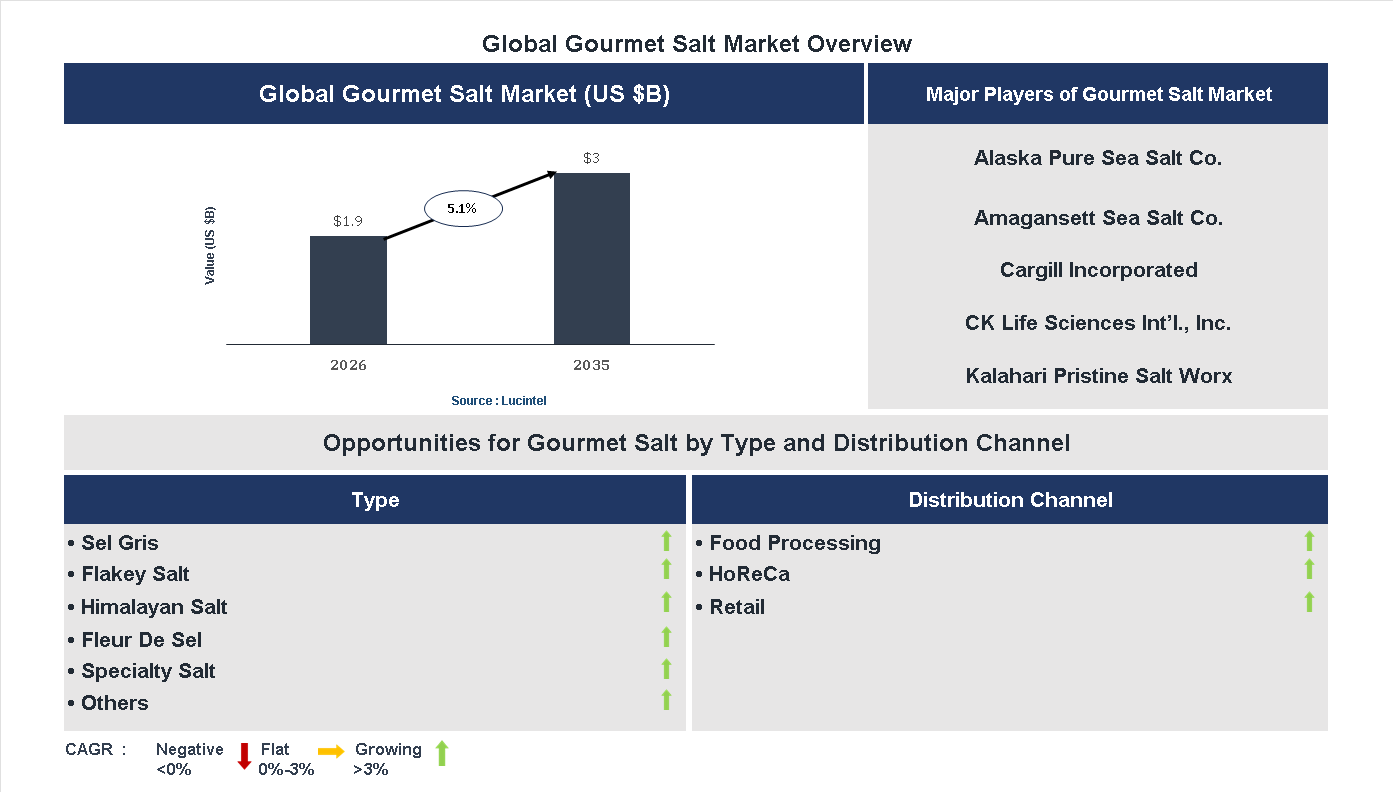 Gourmet Salt Market Trends and Forecast