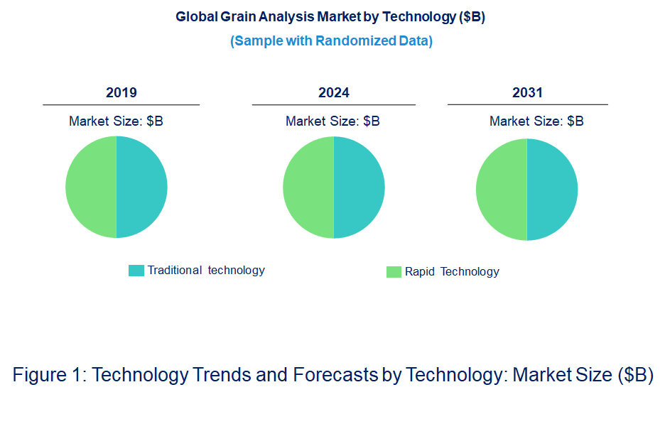 Grain Analysis Market by Technology