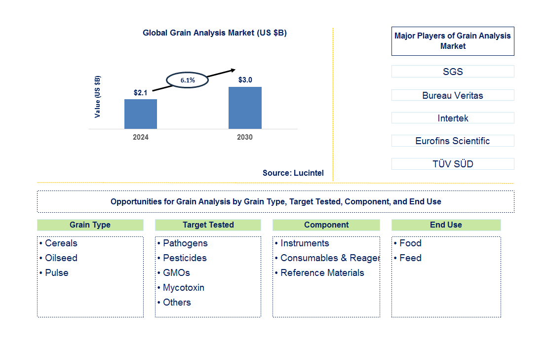 Grain Analysis Trends and Forecast