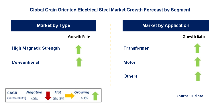 Grain Oriented Electrical Steel Market by Segment