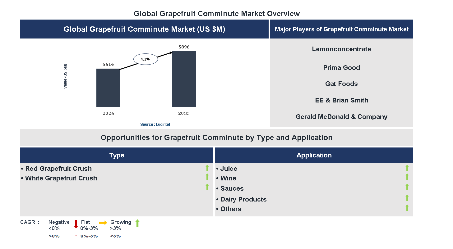 Grapefruit Comminute Market Trends and Forecast