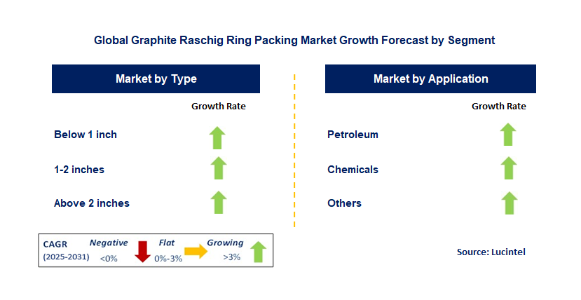 Graphite Raschig Ring Packing Market by Segment