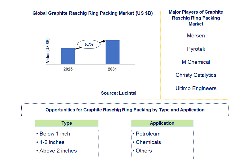 Graphite Raschig Ring Packing Market Trends and Forecast