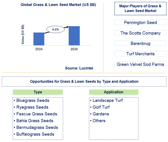 Grass & Lawn Seed Market Trends and Forecast
