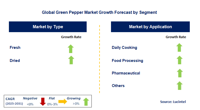 Green Pepper Market by Segment