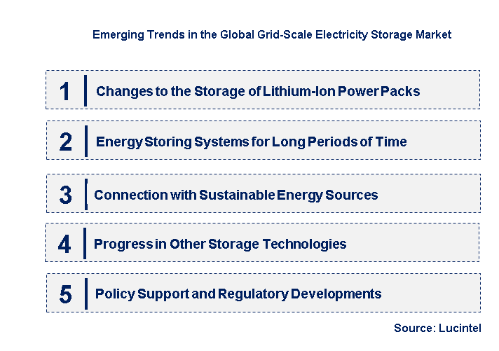 Emerging Trends in the Grid-Scale Electricity Storage Market