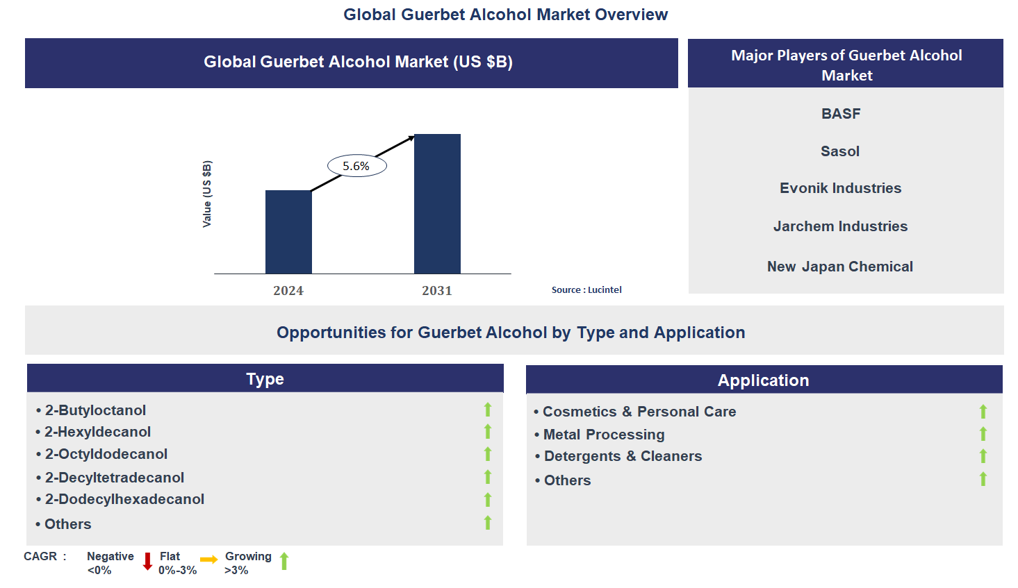 Guerbet Alcohol Market Trends and Forecast