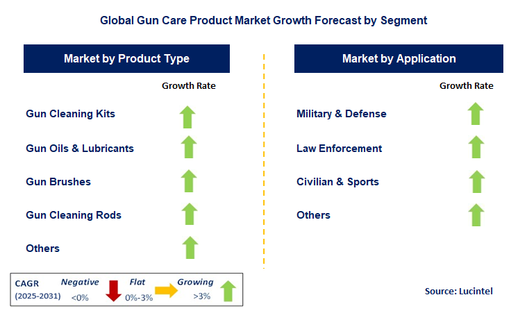 Gun Care Product Market by Segment