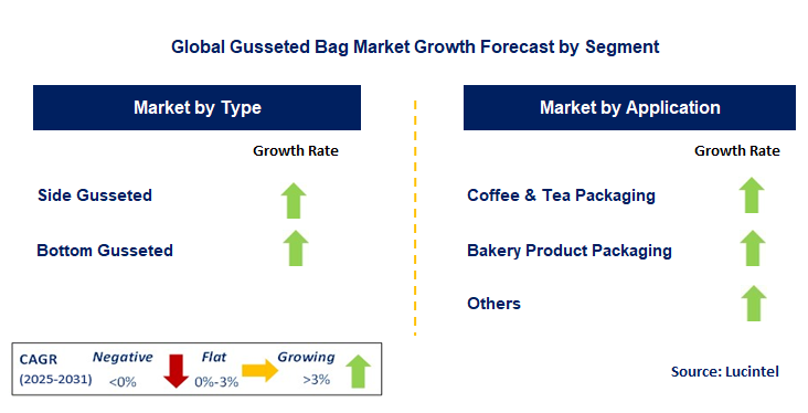 Gusseted Bag Market by Segment