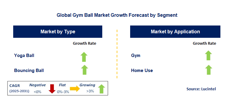 Gym Ball Market by Segment