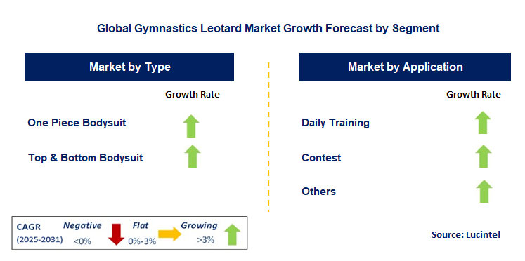 Gymnastics Leotard Market by Segment